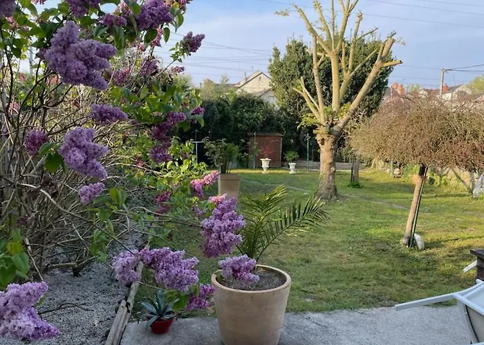Maison Mimosa