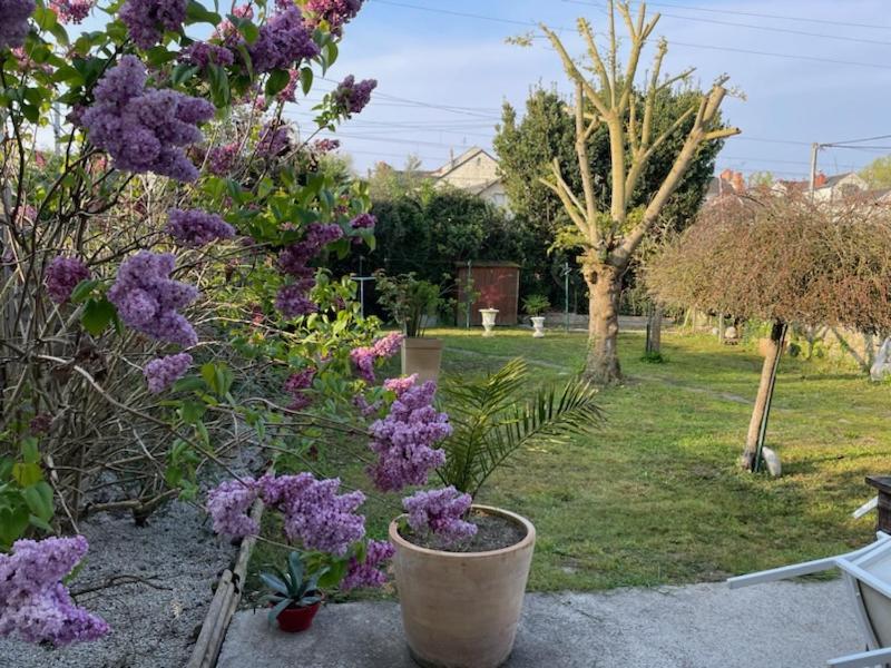 Maison Mimosa Holiday home *